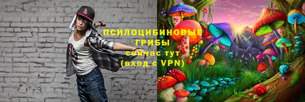 ECSTASY Верея